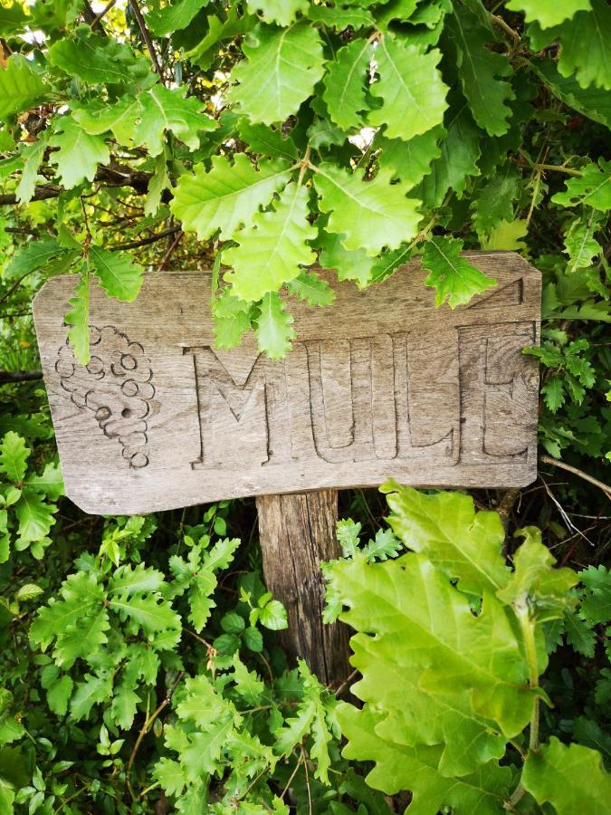 Mule Bed and Breakfast Lagardere Εξωτερικό φωτογραφία