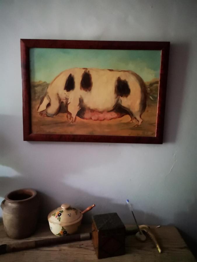 Mule Bed and Breakfast Lagardere Εξωτερικό φωτογραφία